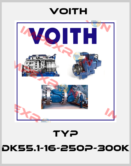 TYP DK55.1-16-250P-300K Voith