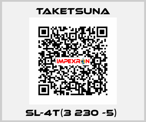 SL-4T(3 230 -5)  Taketsuna