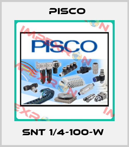 SNT 1/4-100-W  Pisco