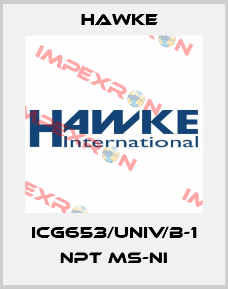 ICG653/UNIV/B-1 NPT Ms-Ni Hawke