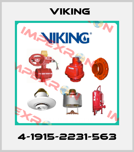 4-1915-2231-563 Viking