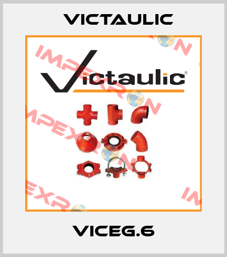 VICEG.6 Victaulic