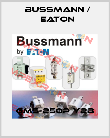 GM5-250P Y2B BUSSMANN / EATON