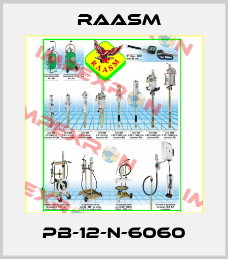 PB-12-N-6060 Raasm