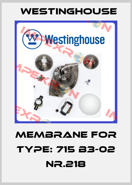 Membrane for Type: 715 B3-02 NR.218 Westinghouse