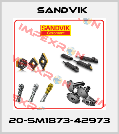 20-SM1873-42973 Sandvik