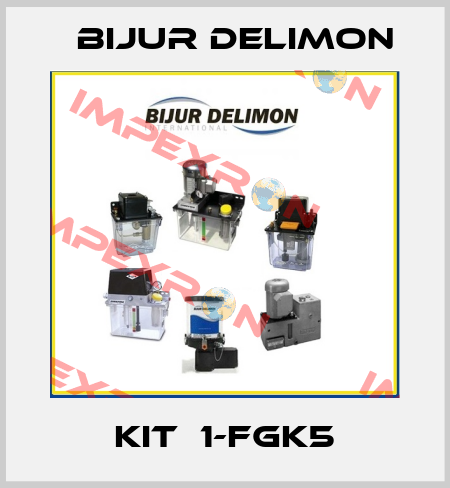 KIT  1-FGK5 Bijur Delimon