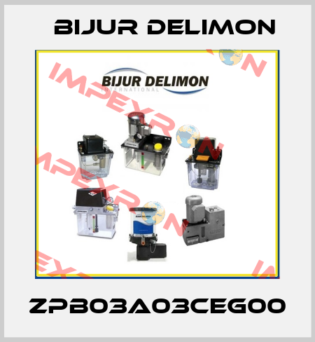 ZPB03A03CEG00 Bijur Delimon