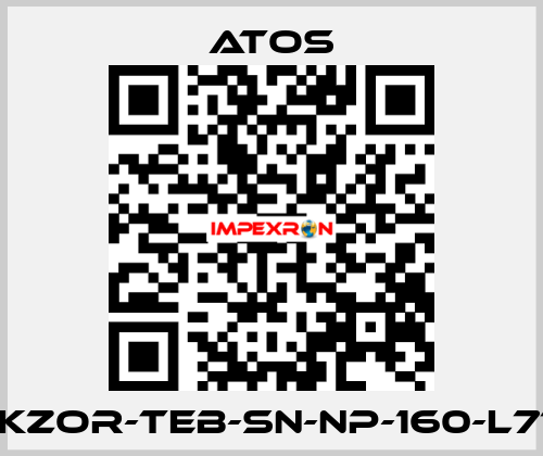 DLKZOR-TEB-SN-NP-160-L71/Q Atos