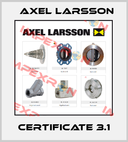 Certificate 3.1 AXEL LARSSON