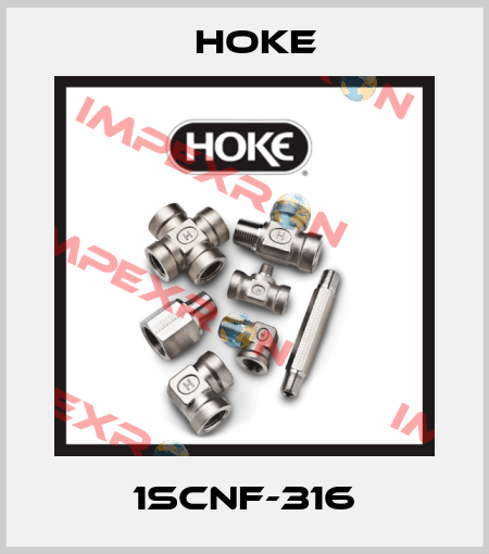 1SCNF-316 Hoke