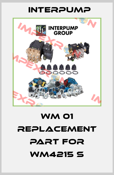 WM 01 replacement part for WM4215 S Interpump