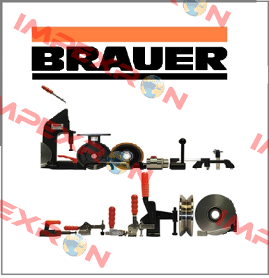 530572000200 Brauer