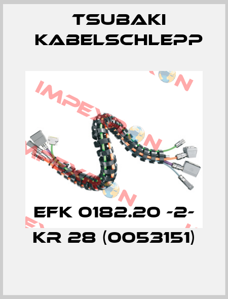 EFK 0182.20 -2- KR 28 (0053151) Tsubaki Kabelschlepp