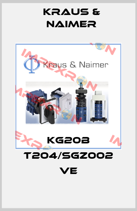 KG20B T204/SGZ002 VE Kraus & Naimer