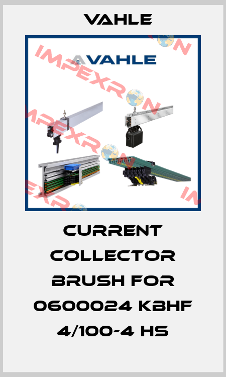 current collector brush for 0600024 KBHF 4/100-4 HS Vahle