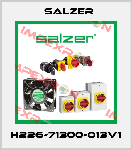 H226-71300-013V1 Salzer
