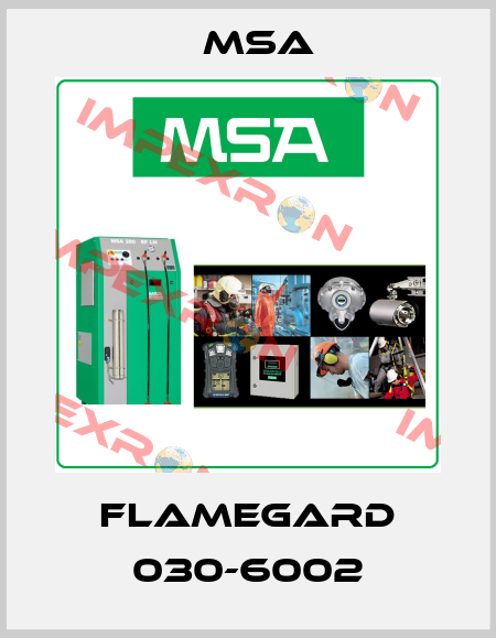 FlameGard 030-6002 Msa