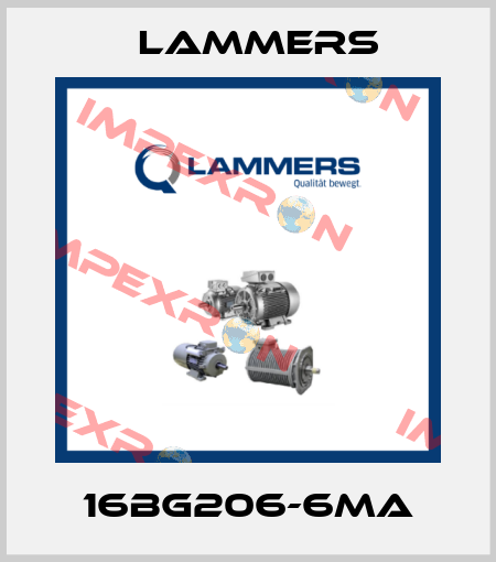 16BG206-6MA Lammers