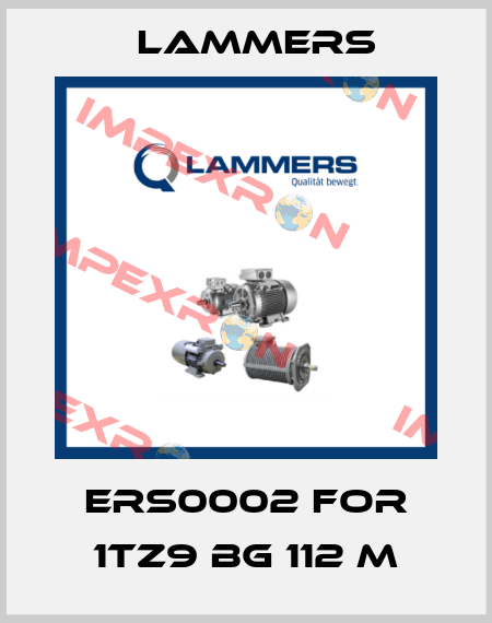 ERS0002 for 1TZ9 BG 112 M Lammers