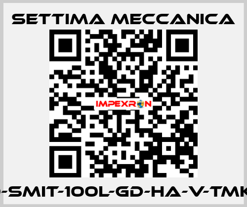 GR40-SMIT-100L-GD-HA-V-TMK-CSM Settima Meccanica