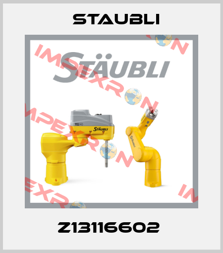 Z13116602  Staubli