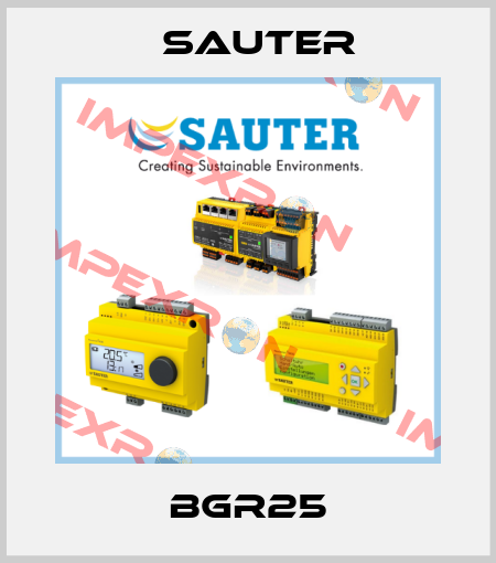 BGR25 Sauter