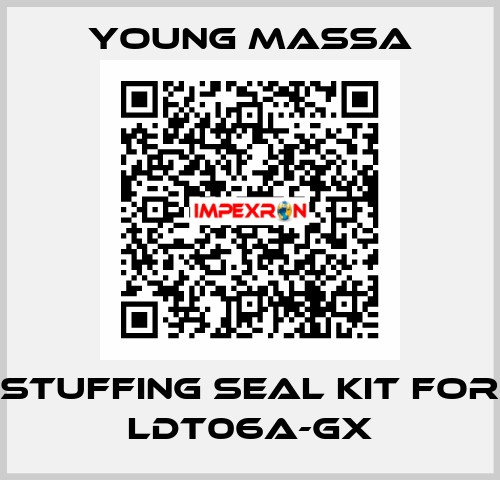 stuffing seal kit for LDT06A-GX Young Massa