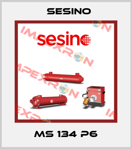 MS 134 P6 Sesino