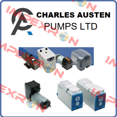 Capex L2 / X37-199 Charles Austen Pumps