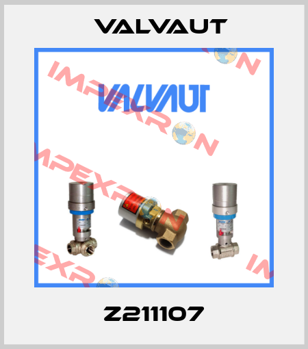 Z211107 Valvaut