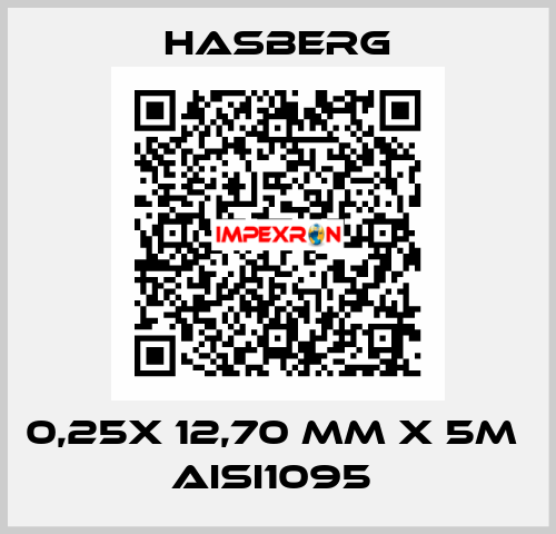 0,25X 12,70 MM X 5M  AISI1095  Hasberg