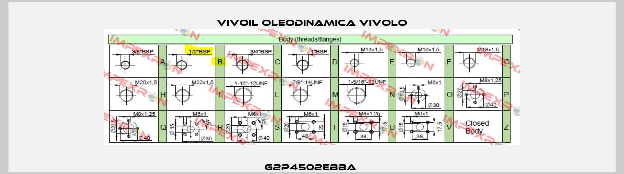 G2P4502EBBA  Vivoil Oleodinamica Vivolo