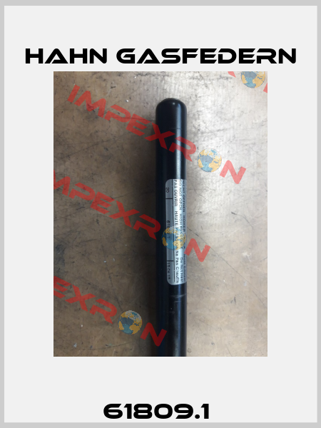 61809.1  Hahn Gasfedern