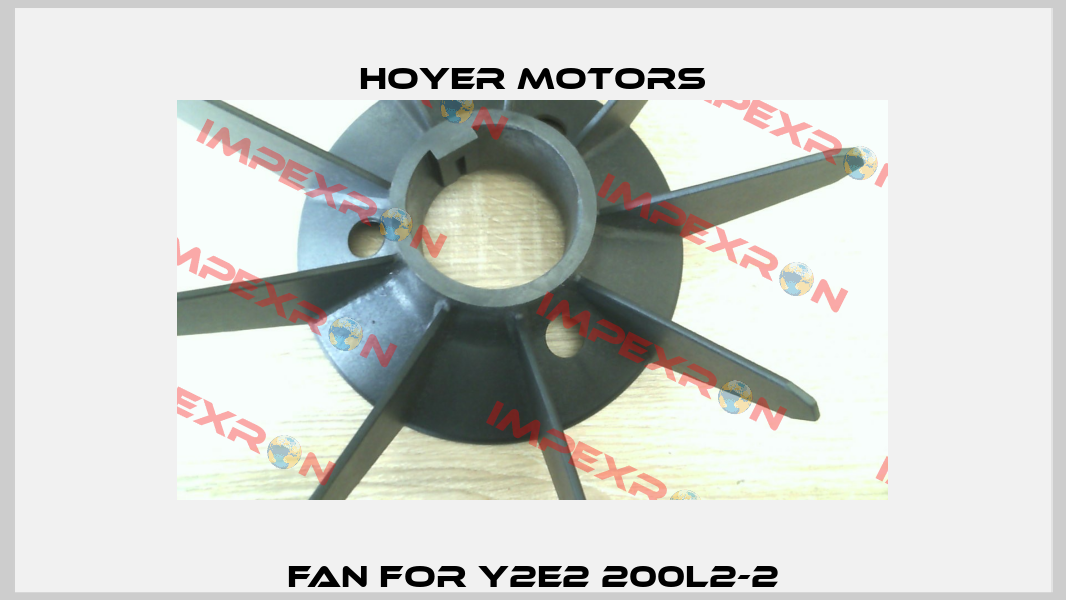 Fan for Y2E2 200L2-2 Hoyer Motors